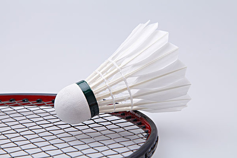 适配与心理 适配与心理