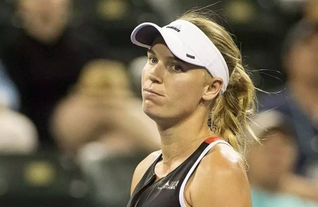 长期贡献 长期贡献